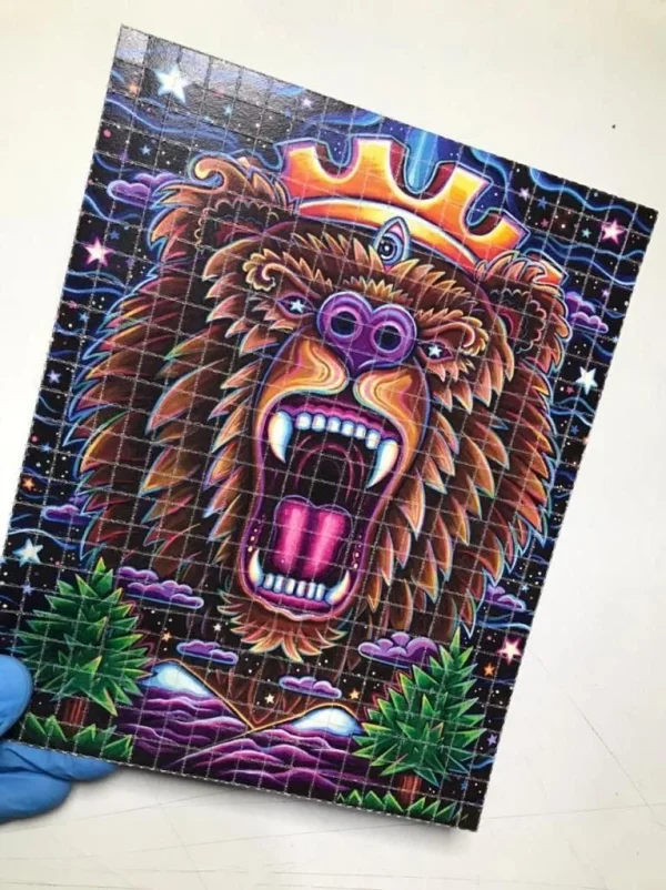 lsd crazy bear